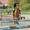 Babie Lato 2016